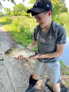 Crucian Carp
