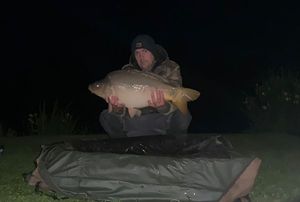 Mirror Carp