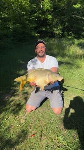 Mirror Carp