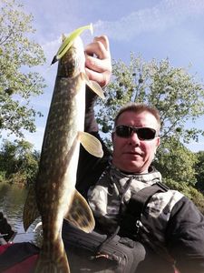 Northern Pike