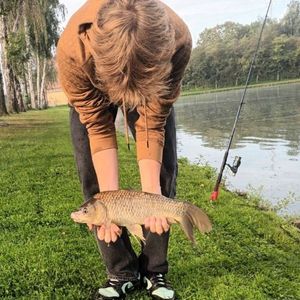 Common Carp