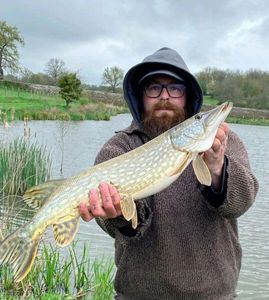 Northern Pike
