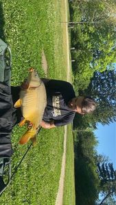 Mirror Carp