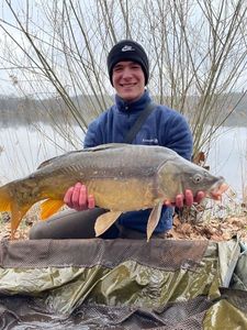 Mirror Carp