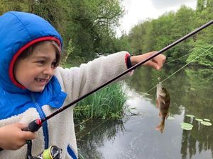 European Perch
