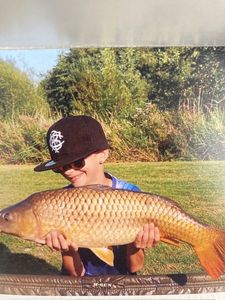 Common Carp