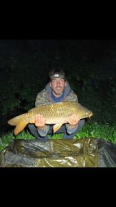 Common Carp