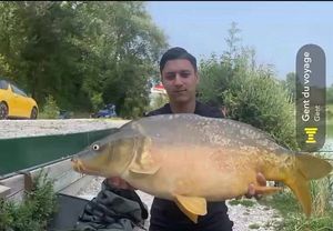 Mirror Carp