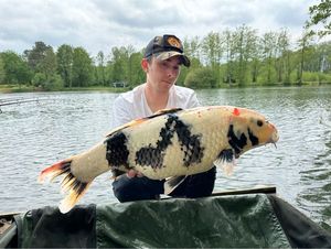 Koï Fish