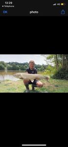 Grass Carp