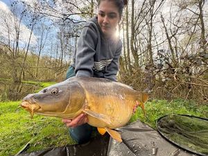 Mirror Carp