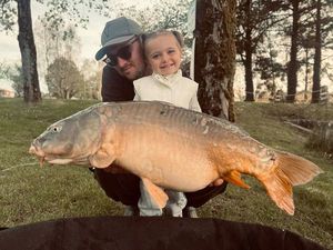 Mirror Carp