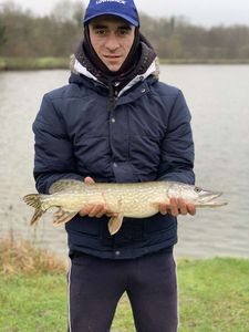 Northern Pike