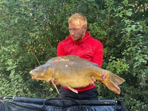 Mirror Carp