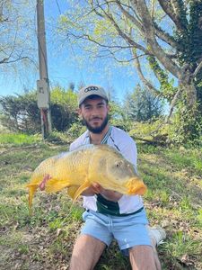 Leather Carp