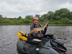 Northern Pike