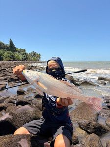 Weakfish