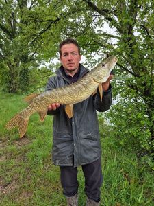 Northern Pike