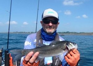 European Bass (Seabass)