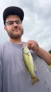 Smallmouth Bass