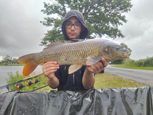 Common Carp