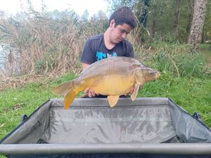 Leather Carp