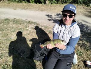 European Perch