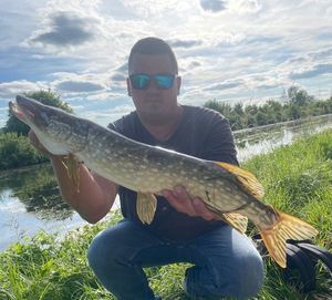 Northern Pike