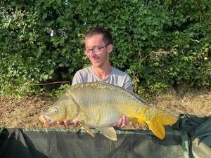Mirror Carp