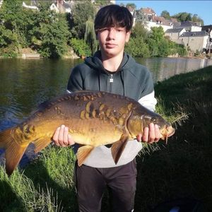 Leather Carp
