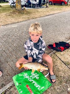 Common Carp