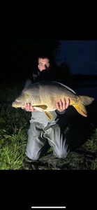 Leather Carp