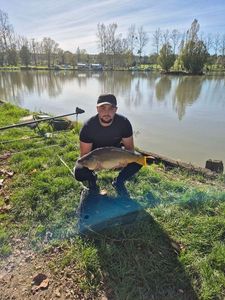 Mirror Carp