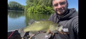 Largemouth Bass