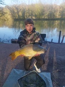 Mirror Carp