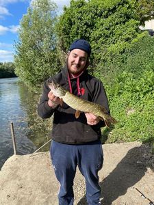 Northern Pike