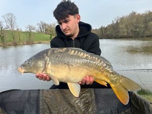Mirror Carp