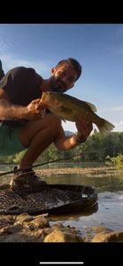 Largemouth Bass