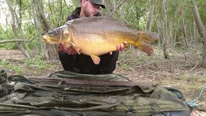 Mirror Carp