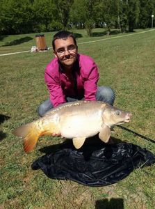 Mirror Carp