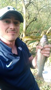 Rainbow Trout