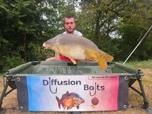 Mirror Carp
