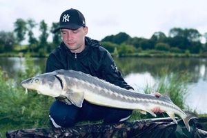 Sturgeon
