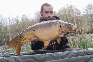 Mirror Carp