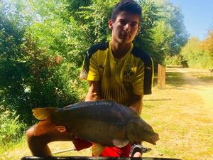 Mirror Carp