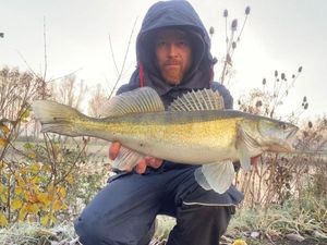 Zander
