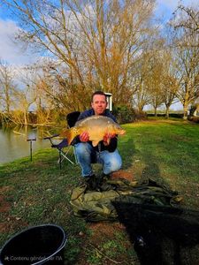 Mirror Carp