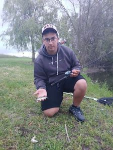 Largemouth Bass