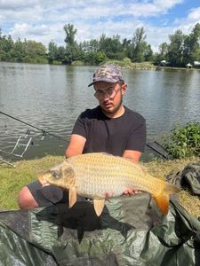 Koï Fish