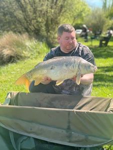 Mirror Carp